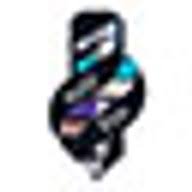 custom_website
